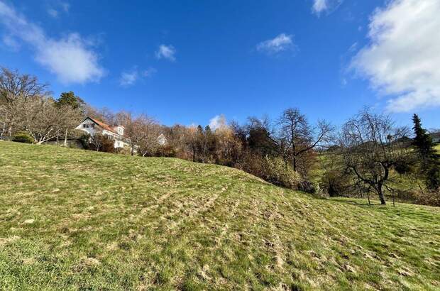 Grundstück kaufen in 8301 Laßnitzhöhe (Bild 4)