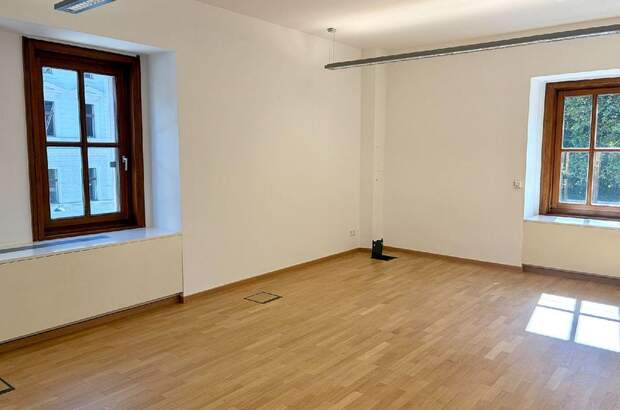 Gewerbeobjekt mieten in 1010 Wien (Bild 3)