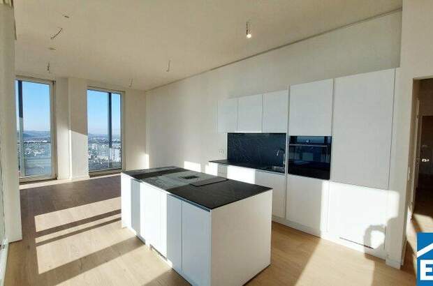 Terrassenwohnung mieten in 1220 Wien (Bild 3)