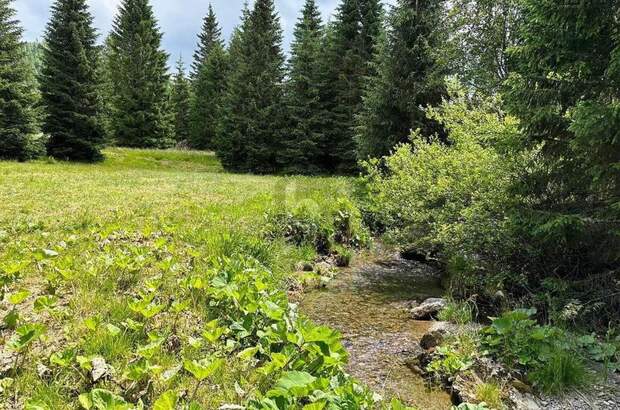 Grundstück kaufen in 9346 Glödnitz (Bild 1)