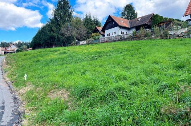 Grundstück kaufen in 8151 Berndorf (Bild 3)