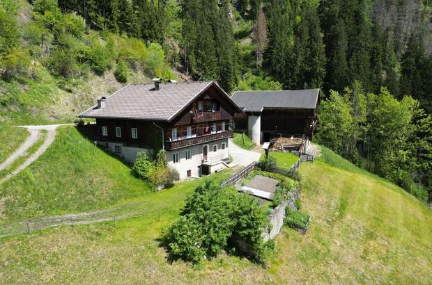 Gewerbeobjekt kaufen in 9911 Assling (Bild 2)