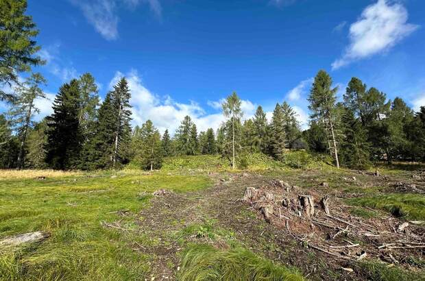 Grundstück kaufen in 9571 Albeck (Bild 5)