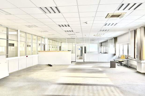 Gewerbeobjekt mieten in 2351 Wiener Neudorf (Bild 4)