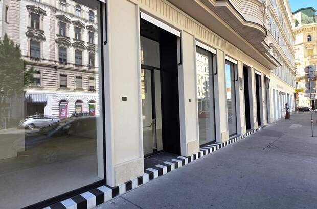 Gewerbeobjekt mieten in 1090 Wien (Bild 1)