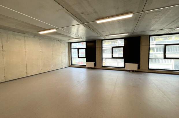 Gewerbeobjekt mieten in 1220 Wien (Bild 5)