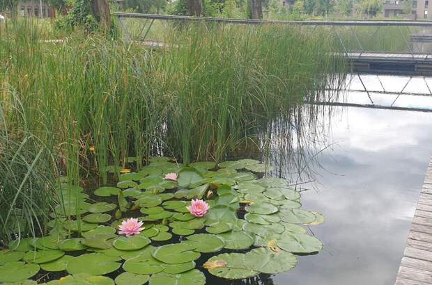 Mietwohnung in 8020 Graz (Bild 2)