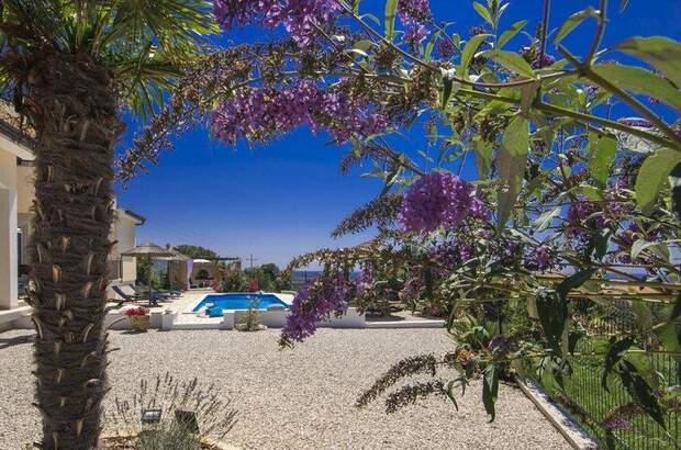 Haus kaufen in 52440 Porec (Bild 5)