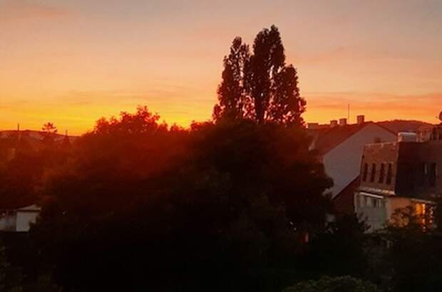 Mietwohnung in 1190 Wien (Bild 1)