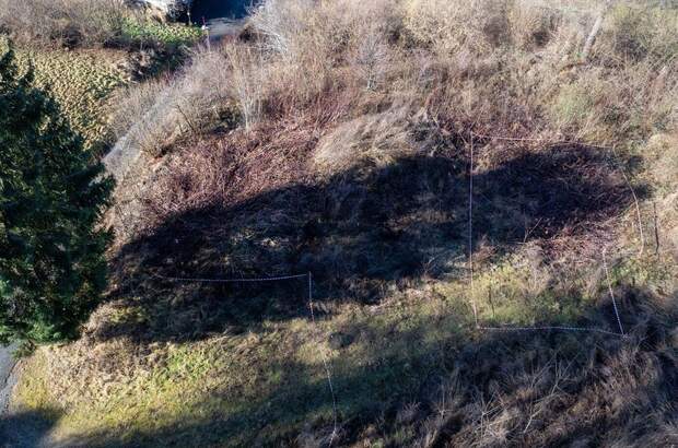 Grundstück kaufen in 9570 Ossiach (Bild 5)