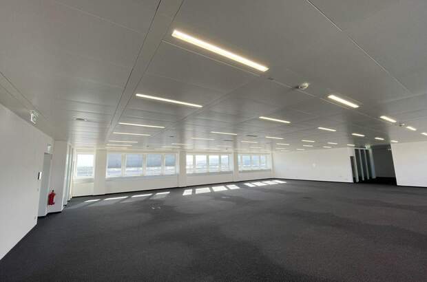 Gewerbeobjekt mieten in 2351 Wiener Neudorf (Bild 5)