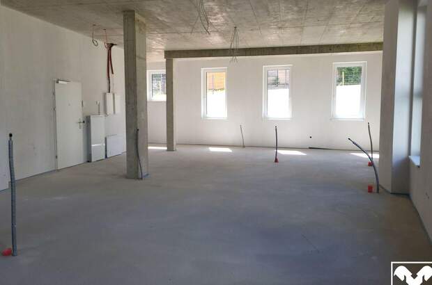Gewerbeobjekt mieten in 4063 Hörsching (Bild 4)