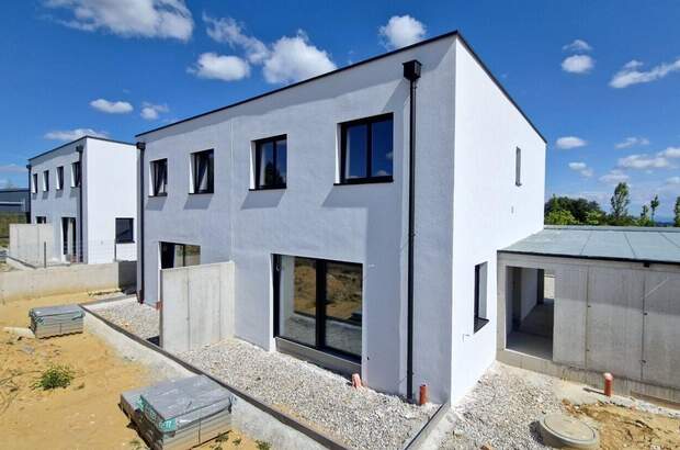 Haus mit Garten kaufen in 4400 Steyr (Bild 3)