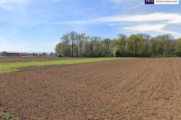 Grundstück kaufen in 8430 Leibnitz (Bild 2)