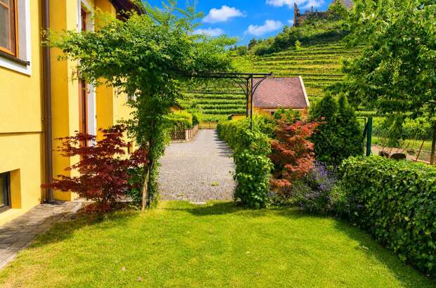 Einfamilienhaus kaufen in 3541 Senftenberg (Bild 2)