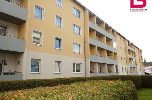 Wohnung mieten in 4240 Freistadt (Bild 2)