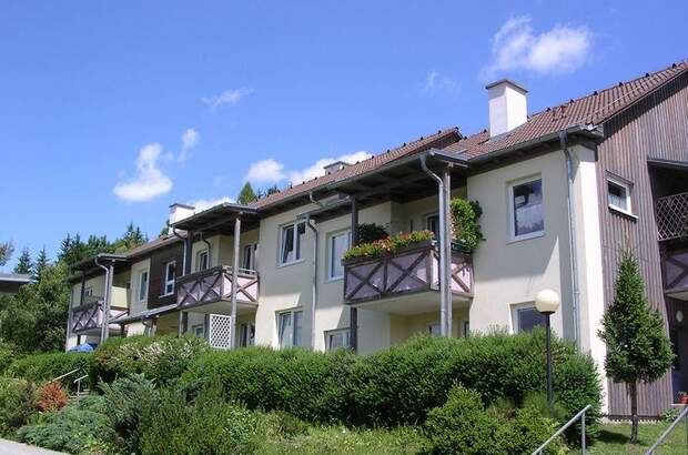 Terrassenwohnung mieten in 8822 Mühlen (Bild 3)