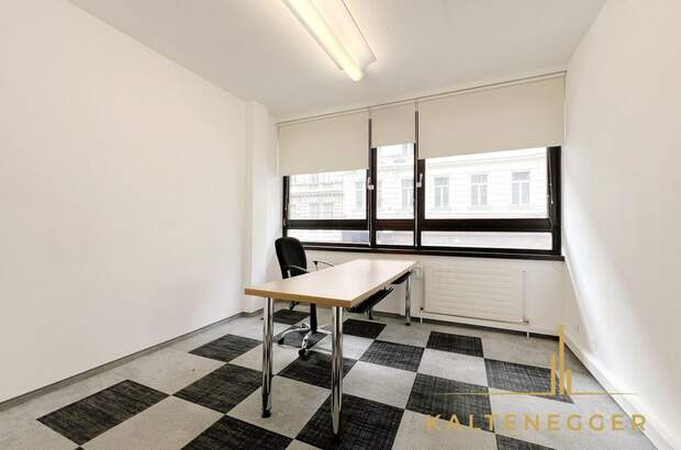 Gewerbeobjekt mieten in 1080 Wien (Bild 3)