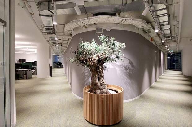 Gewerbeobjekt mieten in 1030 Wien (Bild 3)