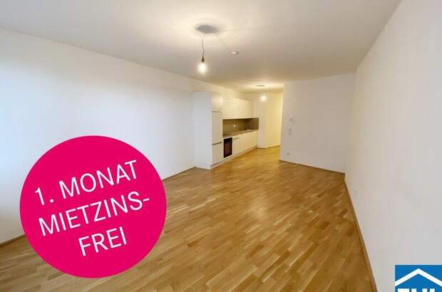 Terrassenwohnung mieten in 1100 Wien (Bild 1)