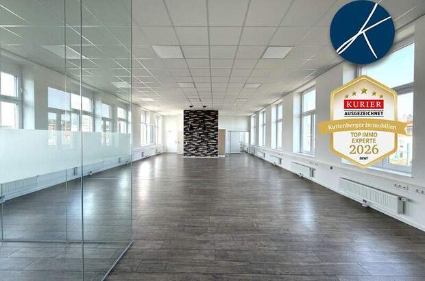 Büro / Praxis mieten in 3500 Krems (Bild 4)