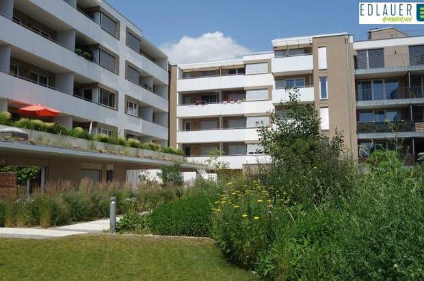 Terrassenwohnung mieten in 3100 St. Pölten (Bild 1)