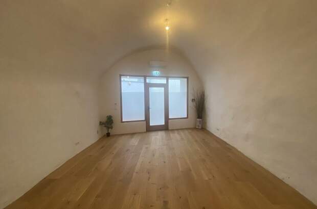 Gewerbeobjekt mieten in 5400 Hallein (Bild 3)
