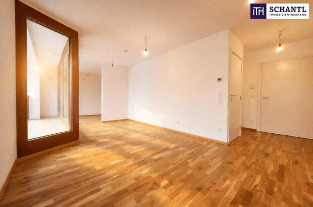 Terrassenwohnung mieten in 1230 Wien (Bild 3)