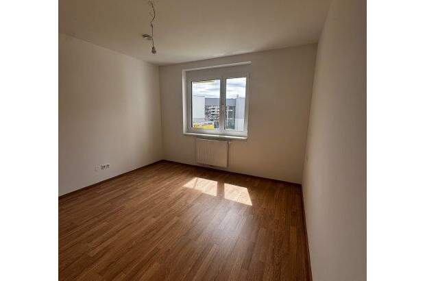 Terrassenwohnung mieten in 2700 Wr. Neustadt (Bild 5)
