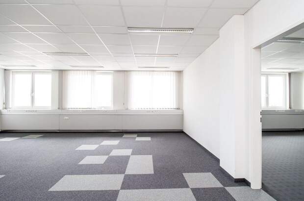 Gewerbeobjekt mieten in 4600 Thalheim (Bild 2)