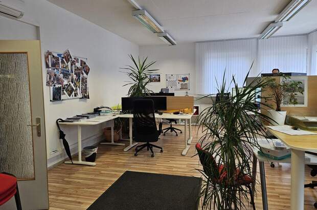 Gewerbeobjekt mieten in 8073 Feldkirchen (Bild 5)