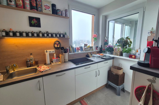 Terrassenwohnung mieten in 8051 Graz Gösting (Bild 4)