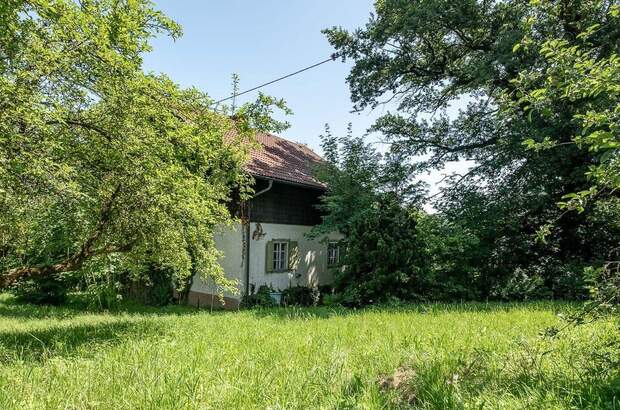 Grundstück kaufen in 4020 Leonding (Bild 1)