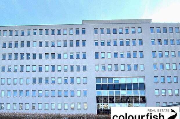 Gewerbeobjekt mieten in 1110 Wien (Bild 3)