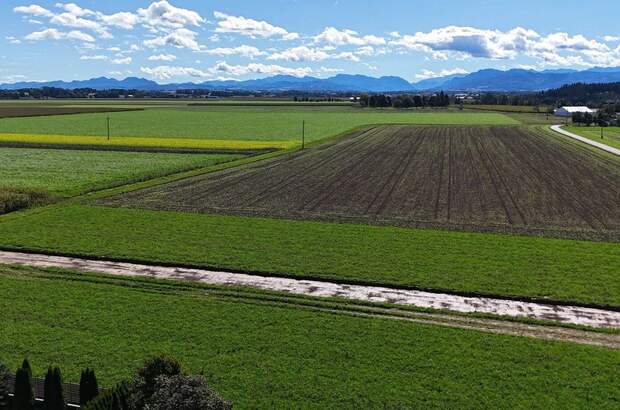 Grundstück kaufen in 4652 Steinerkirchen (Bild 5)