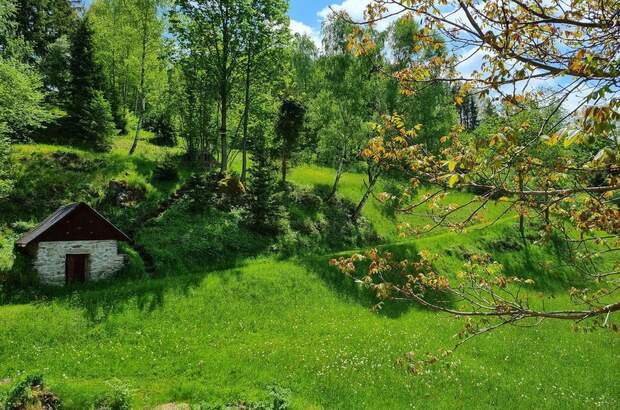 Einfamilienhaus kaufen in 3971 St. Martin (Bild 5)