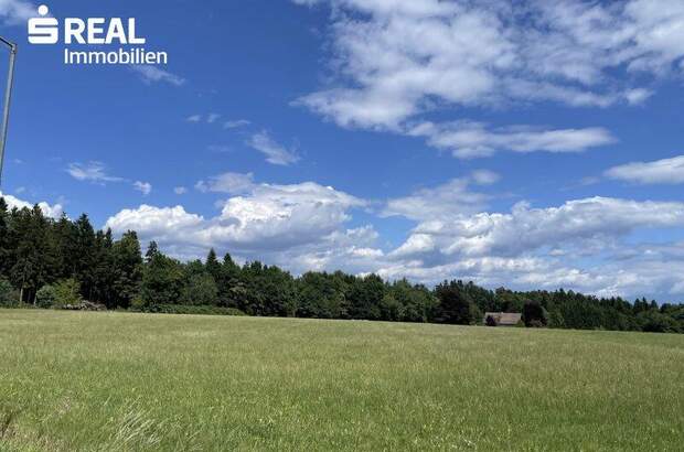 Grundstück kaufen in 8501 Lieboch (Bild 1)