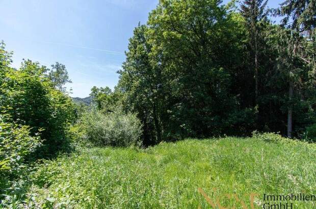 Grundstück kaufen in 4048 Puchenau (Bild 2)