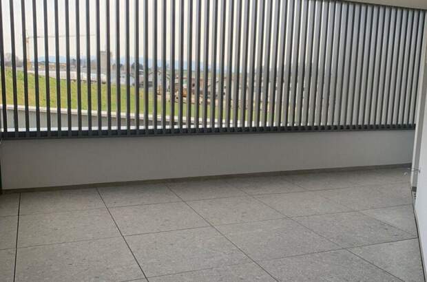 Gewerbeobjekt mieten in 4873 Frankenburg (Bild 3)