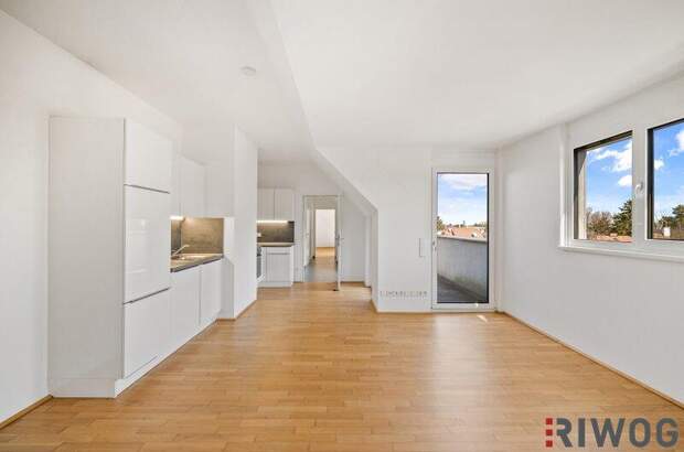 Terrassenwohnung kaufen in 1220 Wien (Bild 1)