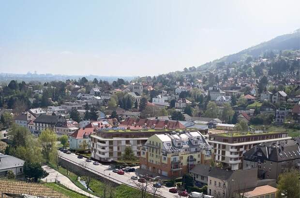 Terrassenwohnung kaufen in 3400 Klosterneuburg (Bild 1)