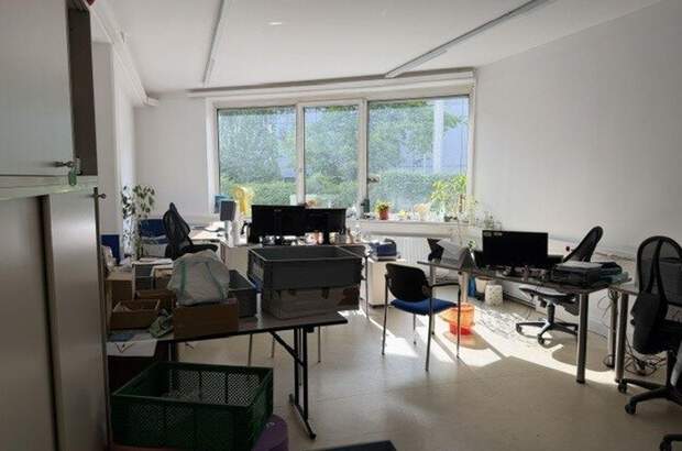 Gewerbeobjekt mieten in 4020 Linz (Bild 5)