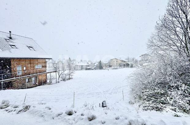 Grundstück kaufen in 6833 Klaus (Bild 4)