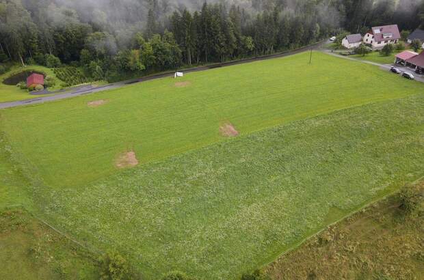 Grundstück kaufen in 8503 Sankt Josef (Bild 4)