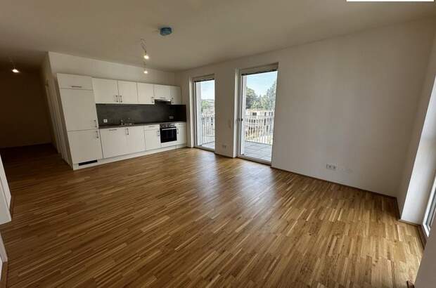 Terrassenwohnung mieten in 3100 St. Pölten (Bild 2)