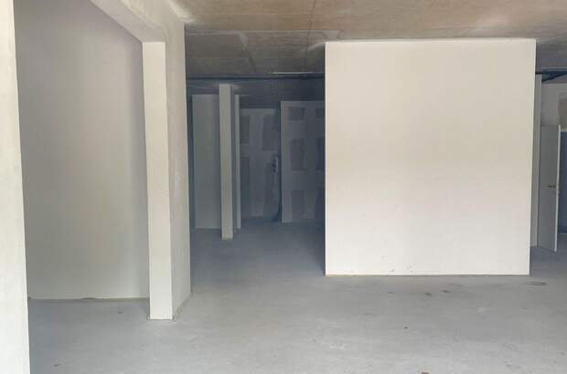 Gewerbeobjekt mieten in 1230 Wien (Bild 4)