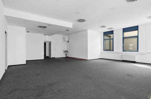 Gewerbeobjekt mieten in 1230 Wien (Bild 5)