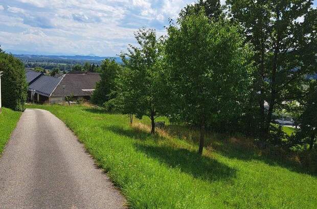 Grundstück kaufen in 4111 Walding (Bild 1)