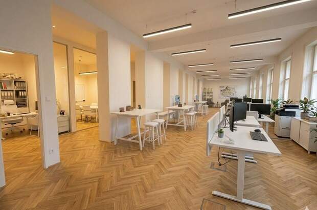 Gewerbeobjekt mieten in 1010 Wien (Bild 4)