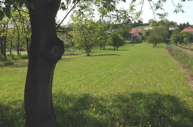 Grundstück kaufen in 9494 Sopron